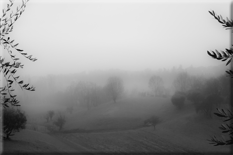 foto Colline di Romano d'Ezzelino nella Nebbia